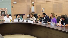 ישיבה בוועדת הכלכלה, צילום: דוברות הכנסת